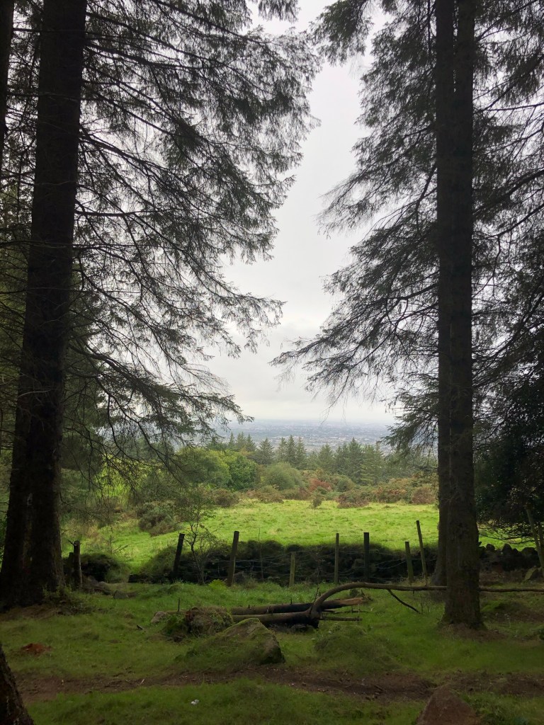 the window on south Dublin, a view of the city from the hills